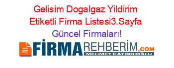 Gelisim+Dogalgaz+Yildirim+Etiketli+Firma+Listesi3.Sayfa Güncel+Firmaları!