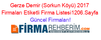 Gerze+Demir+(Sorkun+Köyü)+2017+Firmaları+Etiketli+Firma+Listesi1206.Sayfa Güncel+Firmaları!