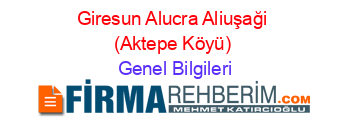 Giresun+Alucra+Aliuşaği+(Aktepe+Köyü) Genel+Bilgileri
