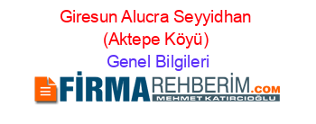 Giresun+Alucra+Seyyidhan+(Aktepe+Köyü) Genel+Bilgileri