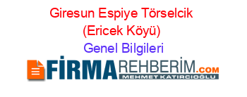 Giresun+Espiye+Törselcik+(Ericek+Köyü) Genel+Bilgileri