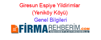 Giresun+Espiye+Yildirimlar+(Yeniköy+Köyü) Genel+Bilgileri