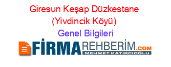 Giresun+Keşap+Düzkestane+(Yivdincik+Köyü) Genel+Bilgileri