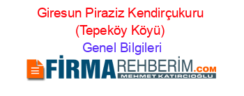 Giresun+Piraziz+Kendirçukuru+(Tepeköy+Köyü) Genel+Bilgileri