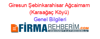 Giresun+Şebinkarahisar+Ağcaimam+(Karaağaç+Köyü) Genel+Bilgileri