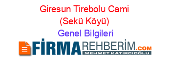 Giresun+Tirebolu+Cami+(Sekü+Köyü) Genel+Bilgileri