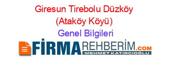 Giresun+Tirebolu+Düzköy+(Ataköy+Köyü) Genel+Bilgileri