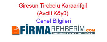 Giresun+Tirebolu+Karaarifgil+(Avcili+Köyü) Genel+Bilgileri