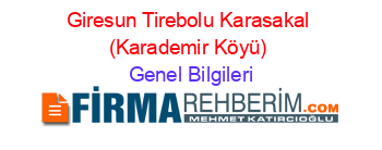 Giresun+Tirebolu+Karasakal+(Karademir+Köyü) Genel+Bilgileri