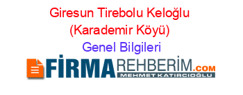 Giresun+Tirebolu+Keloğlu+(Karademir+Köyü) Genel+Bilgileri