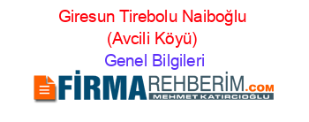 Giresun+Tirebolu+Naiboğlu+(Avcili+Köyü) Genel+Bilgileri