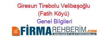 Giresun+Tirebolu+Velibaşoğlu+(Fatih+Köyü) Genel+Bilgileri