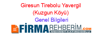 Giresun+Tirebolu+Yavergil+(Kuzgun+Köyü) Genel+Bilgileri