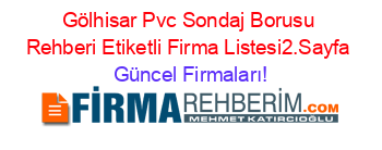 Gölhisar+Pvc+Sondaj+Borusu+Rehberi+Etiketli+Firma+Listesi2.Sayfa Güncel+Firmaları!