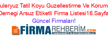 Guleryuz+Tatil+Koyu+Guzellestirme+Ve+Koruma+Dernegi+Arsuz+Etiketli+Firma+Listesi16.Sayfa Güncel+Firmaları!