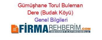 Gümüşhane+Torul+Buleman+Dere+(Budak+Köyü) Genel+Bilgileri