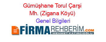 Gümüşhane+Torul+Çarşi+Mh.+(Zigana+Köyü) Genel+Bilgileri