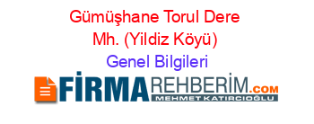Gümüşhane+Torul+Dere+Mh.+(Yildiz+Köyü) Genel+Bilgileri