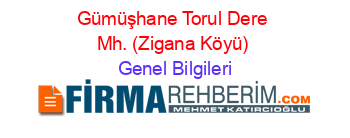 Gümüşhane+Torul+Dere+Mh.+(Zigana+Köyü) Genel+Bilgileri