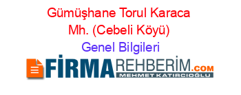 Gümüşhane+Torul+Karaca+Mh.+(Cebeli+Köyü) Genel+Bilgileri