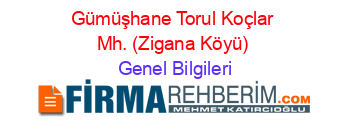 Gümüşhane+Torul+Koçlar+Mh.+(Zigana+Köyü) Genel+Bilgileri