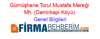 Gümüşhane+Torul+Mustafa+Mereği+Mh.+(Demirkapi+Köyü) Genel+Bilgileri