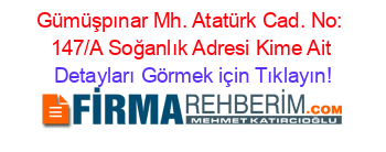 Gümüşpınar+Mh.+Atatürk+Cad.+No:+147/A+Soğanlık+Adresi+Kime+Ait Detayları+Görmek+için+Tıklayın!