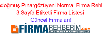 Gündoğmuş+Pınargözüyeni+Normal+Firma+Rehberi+3.Sayfa+Etiketli+Firma+Listesi Güncel+Firmaları!