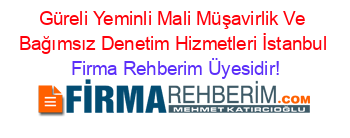 Güreli+Yeminli+Mali+Müşavirlik+Ve+Bağımsız+Denetim+Hizmetleri+İstanbul Firma+Rehberim+Üyesidir!
