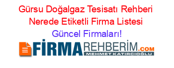 Gürsu+Doğalgaz+Tesisatı+Rehberi+Nerede+Etiketli+Firma+Listesi Güncel+Firmaları!