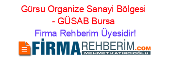 Gürsu+Organize+Sanayi+Bölgesi+-+GÜSAB+Bursa Firma+Rehberim+Üyesidir!