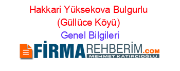 Hakkari+Yüksekova+Bulgurlu+(Güllüce+Köyü) Genel+Bilgileri