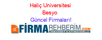 Haliç+Universitesi+Besyo+ Güncel+Firmaları!