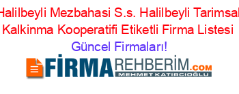 Halilbeyli+Mezbahasi+S.s.+Halilbeyli+Tarimsal+Kalkinma+Kooperatifi+Etiketli+Firma+Listesi Güncel+Firmaları!