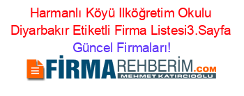 Harmanlı+Köyü+Ilköğretim+Okulu+Diyarbakır+Etiketli+Firma+Listesi3.Sayfa Güncel+Firmaları!