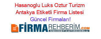 Hasanoglu+Luks+Oztur+Turizm+Antakya+Etiketli+Firma+Listesi Güncel+Firmaları!