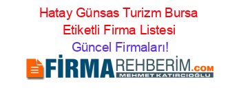 Hatay+Günsas+Turizm+Bursa+Etiketli+Firma+Listesi Güncel+Firmaları!