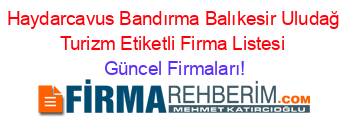 Haydarcavus+Bandırma+Balıkesir+Uludağ+Turizm+Etiketli+Firma+Listesi Güncel+Firmaları!
