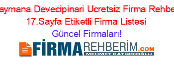 Haymana+Devecipinari+Ucretsiz+Firma+Rehberi+17.Sayfa+Etiketli+Firma+Listesi Güncel+Firmaları!