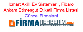 Icmart+Akilli+Ev+Sistemleri+,+Fibaro+Ankara+Etimesgut+Etiketli+Firma+Listesi Güncel+Firmaları!