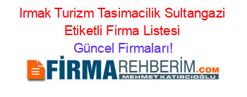 Irmak+Turizm+Tasimacilik+Sultangazi+Etiketli+Firma+Listesi Güncel+Firmaları!