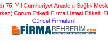İsim+Sıralı+75.+Yıl+Cumhuriyet+Anadolu+Sağlık+Meslek+Lisesi+(Corum+Merkez)+Corum+Etiketli+Firma+Listesi+Etiketli+Firma+Listesi Güncel+Firmaları!