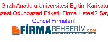 İsim+Sıralı+Anadolu+Universitesi+Egitim+Karikaturleri+Muzesi+Odunpazari+Etiketli+Firma+Listesi2.Sayfa Güncel+Firmaları!