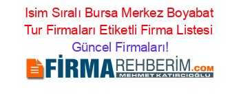 Isim+Sıralı+Bursa+Merkez+Boyabat+Tur+Firmaları+Etiketli+Firma+Listesi Güncel+Firmaları!