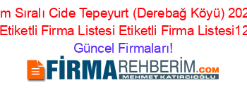 İsim+Sıralı+Cide+Tepeyurt+(Derebağ+Köyü)+2022+Firmaları+Etiketli+Firma+Listesi+Etiketli+Firma+Listesi1206.Sayfa Güncel+Firmaları!