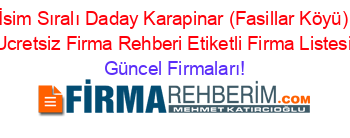 İsim+Sıralı+Daday+Karapinar+(Fasillar+Köyü)+Ucretsiz+Firma+Rehberi+Etiketli+Firma+Listesi Güncel+Firmaları!