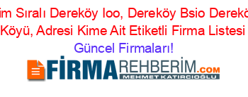 İsim+Sıralı+Dereköy+Ioo,+Dereköy+Bsio+Dereköy+Köyü,+Adresi+Kime+Ait+Etiketli+Firma+Listesi Güncel+Firmaları!