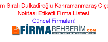 İsim+Sıralı+Dulkadiroğlu+Kahramanmaraş+Ciçek+Noktası+Etiketli+Firma+Listesi Güncel+Firmaları!