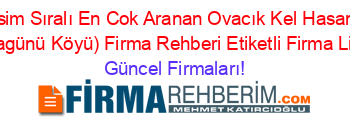 İsim+Sıralı+En+Cok+Aranan+Ovacık+Kel+Hasan+(Yaylagünü+Köyü)+Firma+Rehberi+Etiketli+Firma+Listesi Güncel+Firmaları!