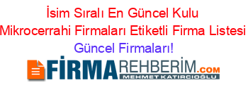 İsim+Sıralı+En+Güncel+Kulu+Mikrocerrahi+Firmaları+Etiketli+Firma+Listesi Güncel+Firmaları!